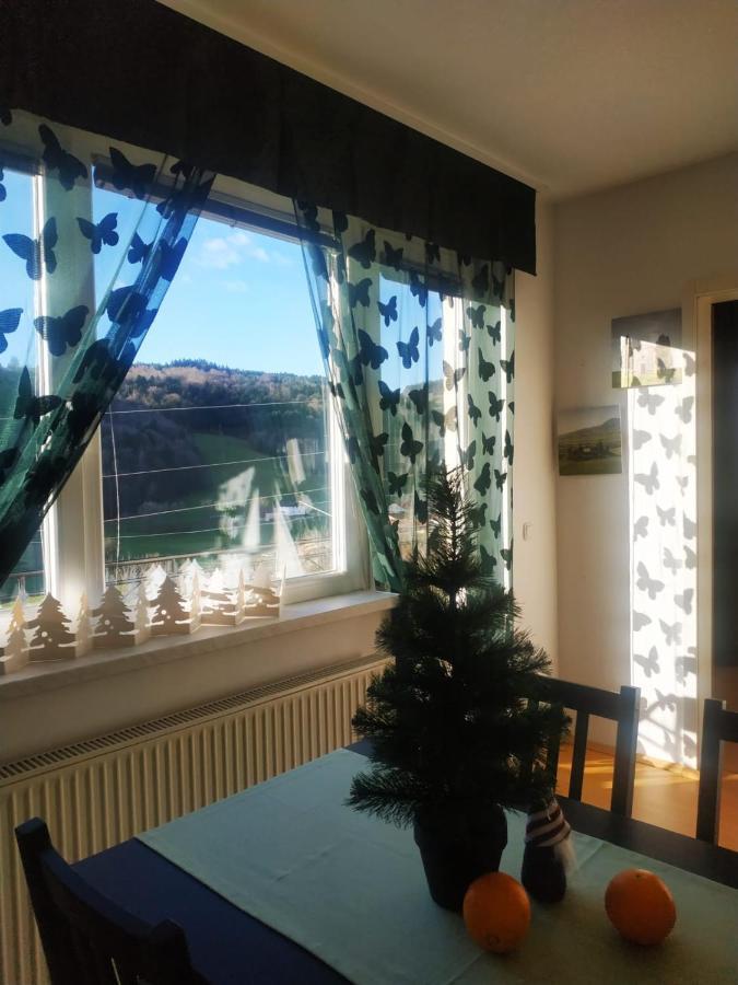 Apartmaji Sofia Maribor Kültér fotó