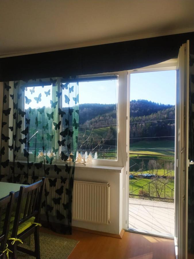 Apartmaji Sofia Maribor Kültér fotó