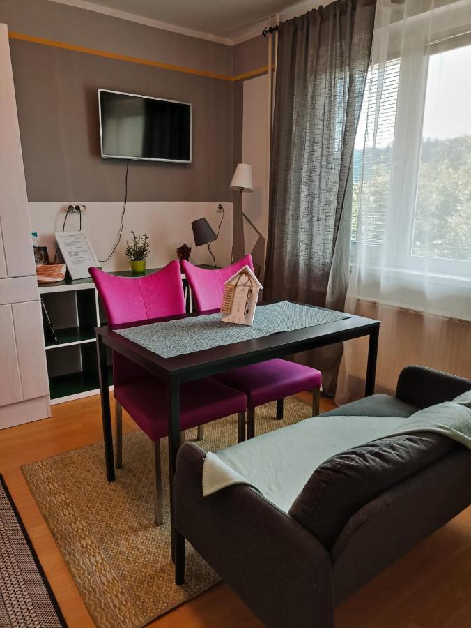 Apartmaji Sofia Maribor Kültér fotó